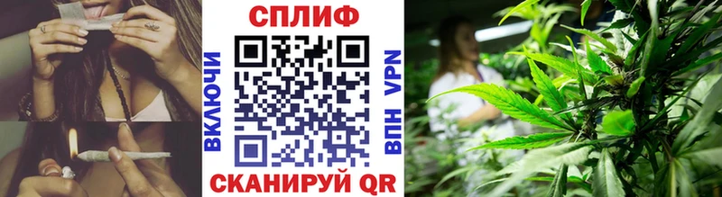 Купить где  Починок  Конопля White Widow 